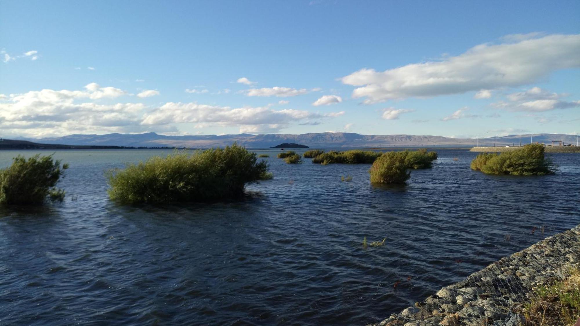 Hostel Aves Del Lago El Calafate Eksteriør billede