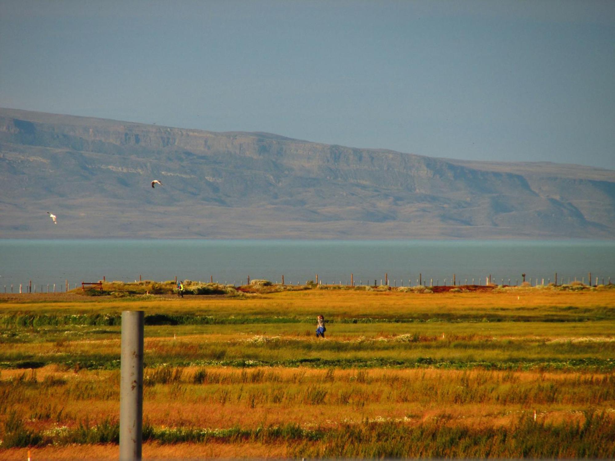 Hostel Aves Del Lago El Calafate Eksteriør billede