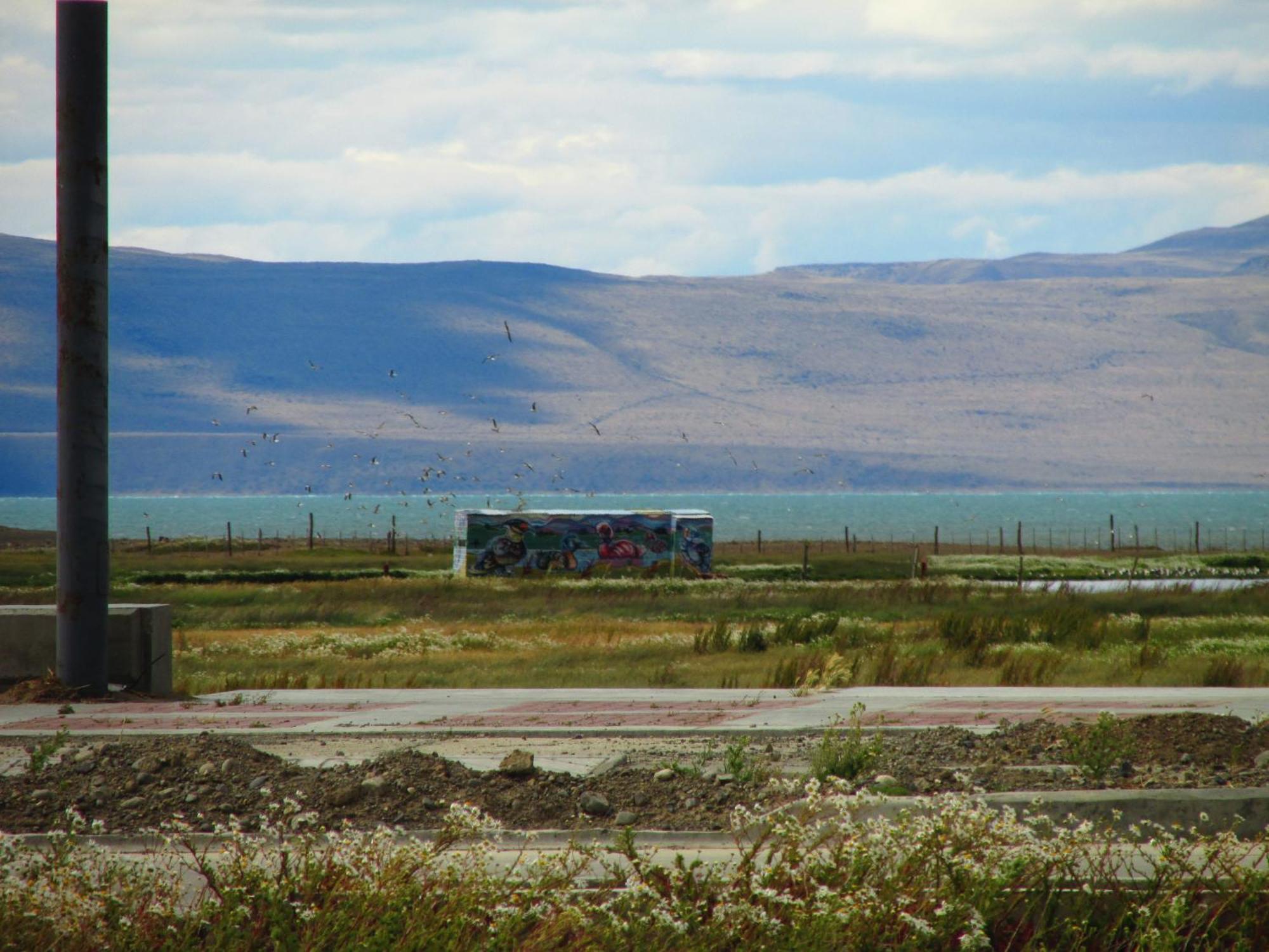 Hostel Aves Del Lago El Calafate Eksteriør billede